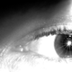 Illustration for article titled Shooting Gallery: BlackWhite 14